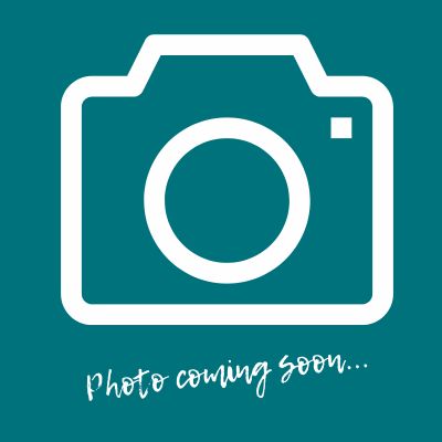 teal background, white line drawing of camera, and text saying photo coming soon